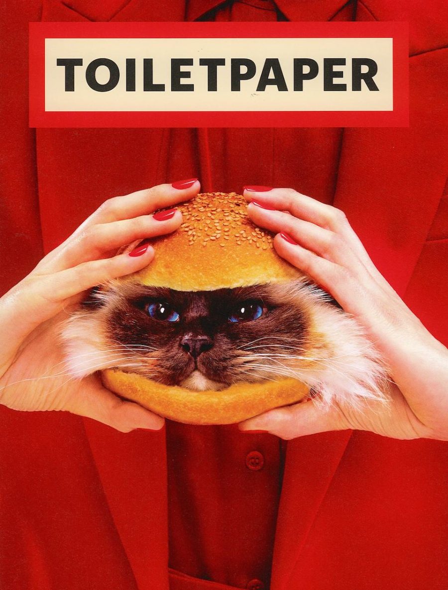 TOILET PAPER - immagine 4